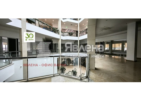 Biuro do wynajęcia - Младост /Mladost Варна/varna, Bułgaria, 213 m², 1549 USD (6305 PLN), NET-103037801