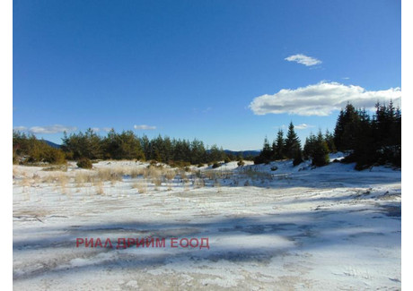 Działka na sprzedaż - к.к. Пампорово, вр.РОЖЕН/k.k. Pamporovo, vr.ROJEN Смолян/smolian, Bułgaria, 8900 m², 95 401 USD (391 144 PLN), NET-34303390