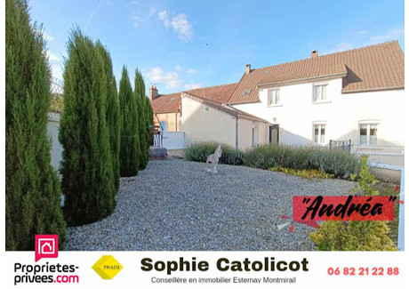 Dom na sprzedaż - Esternay, Francja, 139 m², 290 235 USD (1 114 503 PLN), NET-100899011