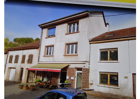 Dom na sprzedaż - Moyenmoutier, Francja, 144 m², 193 068 USD (739 449 PLN), NET-100510645