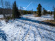 Dom na sprzedaż - TBD Whetstone Drive Silverthorne, Usa, 504,46 m², 5 727 500 USD (23 081 825 PLN), NET-98117289