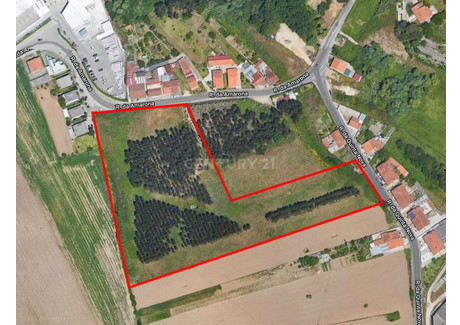 Działka na sprzedaż - Ílhavo (São Salvador), Portugalia, 19 900 m², 471 575 USD (1 971 184 PLN), NET-96118118