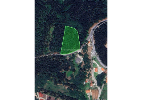 Działka na sprzedaż - Gondarém, Portugalia, 6500 m², 82 814 USD (317 178 PLN), NET-96126501