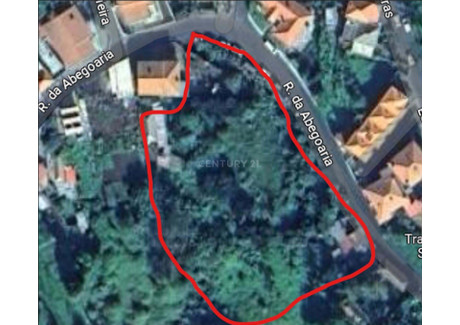 Dom na sprzedaż - Ilha Da Madeira, Caniço, Portugalia, 45 m², 125 020 USD (512 580 PLN), NET-96117377