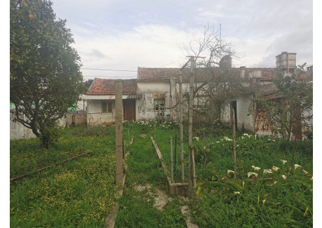 Komercyjne na sprzedaż - Caldas Da Rainha - Nossa Senhora Do Pópulo, Coto E, Portugalia, 740 m², 361 123 USD (1 476 992 PLN), NET-96118746