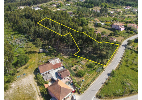 Działka na sprzedaż - Pombeiro Da Beira, Portugalia, 3310 m², 27 088 USD (110 788 PLN), NET-100847502