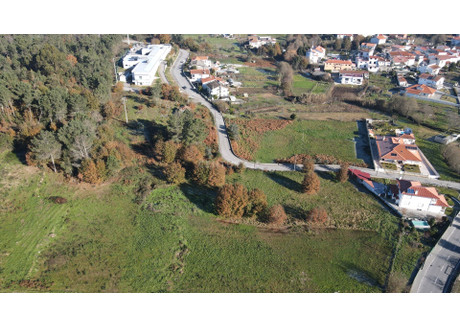 Działka na sprzedaż - Rio De Loba, Portugalia, 19 600 m², 257 006 USD (1 030 592 PLN), NET-101655619