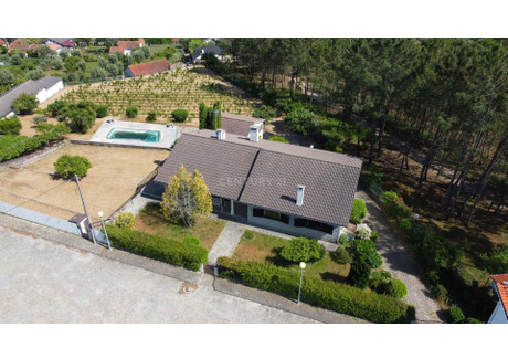 Dom na sprzedaż - São Pedro De France, Portugalia, 243,65 m², 378 494 USD (1 521 547 PLN), NET-96116761