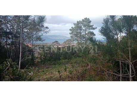 Komercyjne na sprzedaż - Ilha Do Pico, Criação Velha, Portugalia, 588 m², 408 698 USD (1 663 402 PLN), NET-98812012