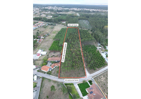 Działka na sprzedaż - Maceira, Portugalia, 13 730 m², 107 464 USD (440 600 PLN), NET-100877668