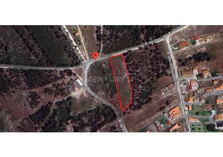 Działka na sprzedaż - Vieira De Leiria, Portugalia, 2000 m², 15 688 USD (64 321 PLN), NET-97670278