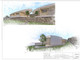 Dom na sprzedaż - Peso Da Régua, Portugalia, 235 m², 866 676 USD (3 414 703 PLN), NET-96130281