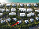 Mieszkanie na sprzedaż - Unnamed Road Bimini Bay, Bahamy, 120,77 m², 265 000 USD (1 078 550 PLN), NET-98078895