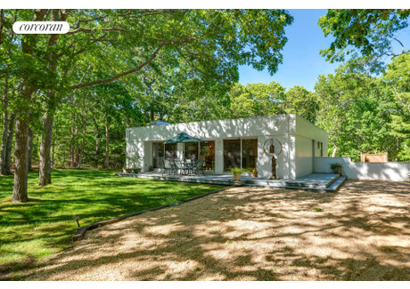 Komercyjne do wynajęcia - 49 Diane Drive East Hampton, Usa, 148,64 m², 27 000 USD (109 890 PLN), NET-102944280