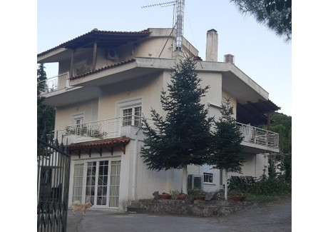 Dom na sprzedaż - Unnamed Road Livadia, Grecja, 200 m², 313 983 USD (1 262 211 PLN), NET-66438682