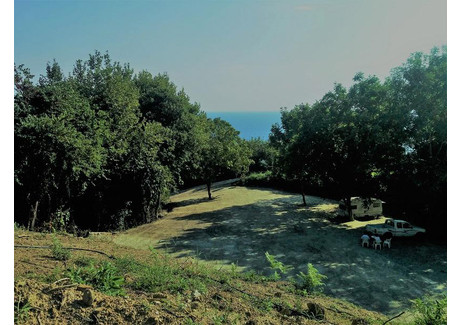 Działka na sprzedaż - Unnamed Road South Pelion, Grecja, 6000 m², 1 028 565 USD (4 134 831 PLN), NET-63537016