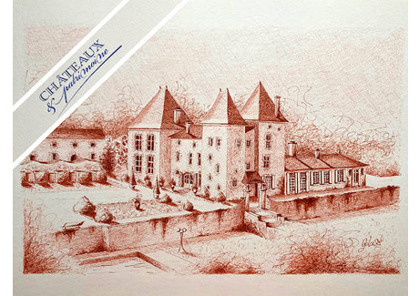 Dom na sprzedaż - Casteljaloux, Francja, 1000 m², 2 657 941 USD (10 472 288 PLN), NET-89594523