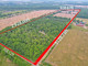 Dom na sprzedaż - 196 Pietz Rd Welland, Kanada, 278,71 m², 1 350 288 USD (5 185 104 PLN), NET-97035198